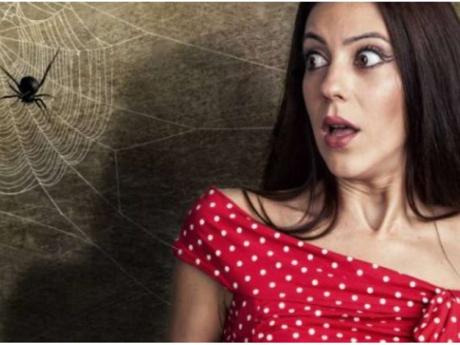 ¿Qué significa soñar con arañas?