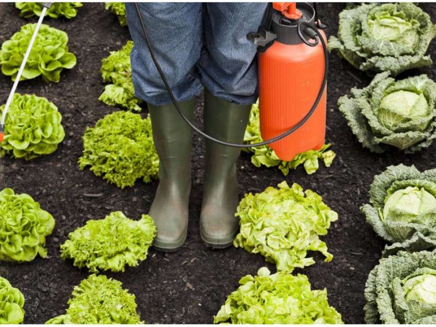 Estas son las frutas y verduras con más pesticidas