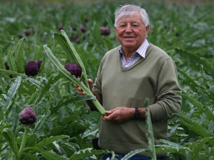 La Ruta 6 por la calle 630 podría matar al histórico alcaucil de La Plata