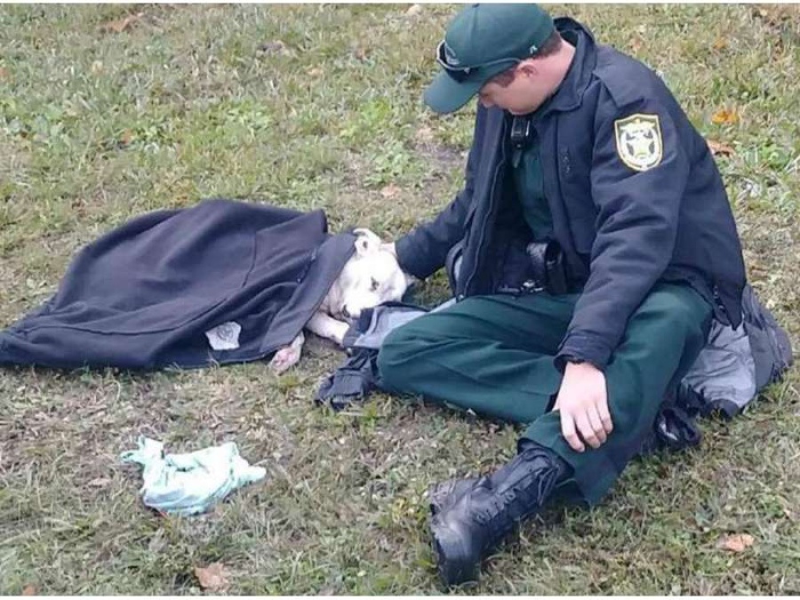 Este policía abrigó con su campera a una perra atropellada