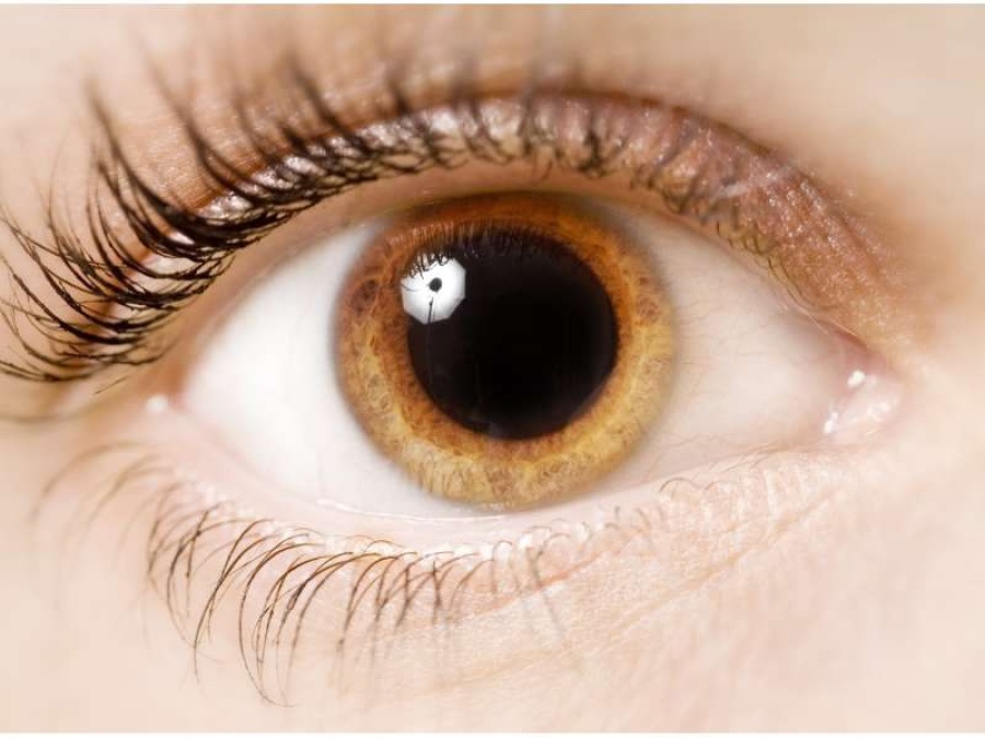 Tus pupilas pueden revelar mucho sobre tu pareja