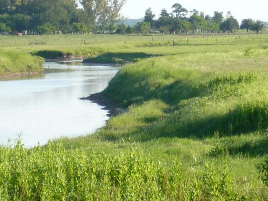 Campamento y ”choriceada” en Sicardi: pedirán que El Pescado sea reserva municipal