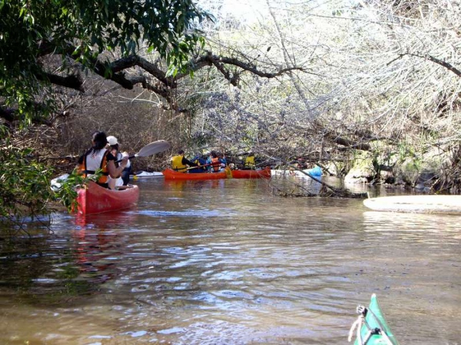 Comenzarán las arduas negociaciones para que el Arroyo El Pescado sea reserva municipal