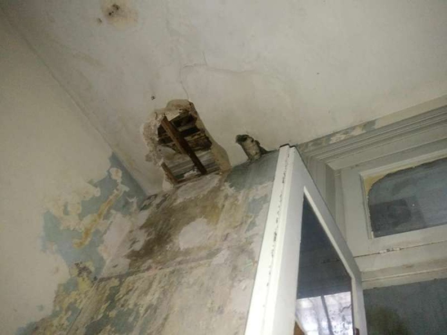 Más de 100 chicos no pueden cursar en la Escuela de Teatro de La Plata por el desastre edilicio