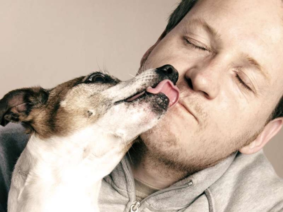 Según la ciencia, los perros sienten que son tus amigos