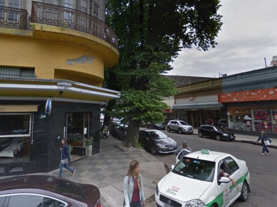 Un árbol inclinado es el terror de vecinos y comerciantes de 5 y 50