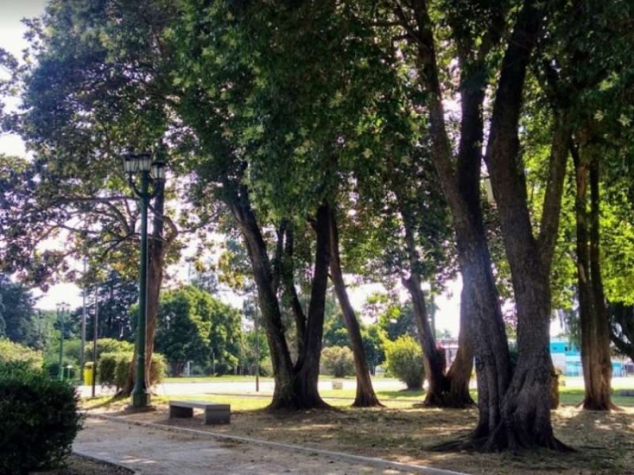 Intentaron robar a una chica en la plaza de Villa Elisa y es el cuarto caso en una semana