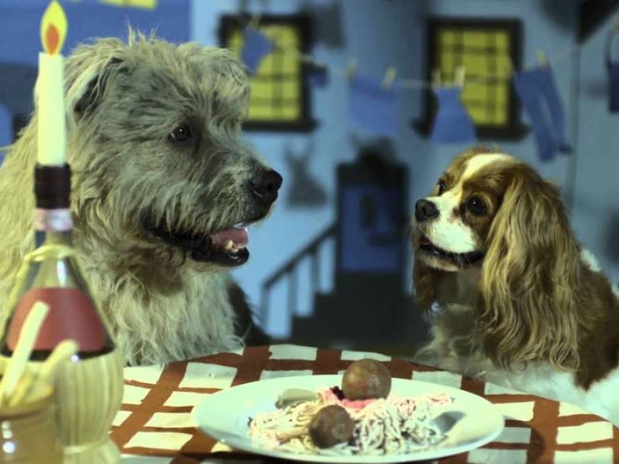 Disney hará una remake de ”La dama y el vagabundo” con perros reales 