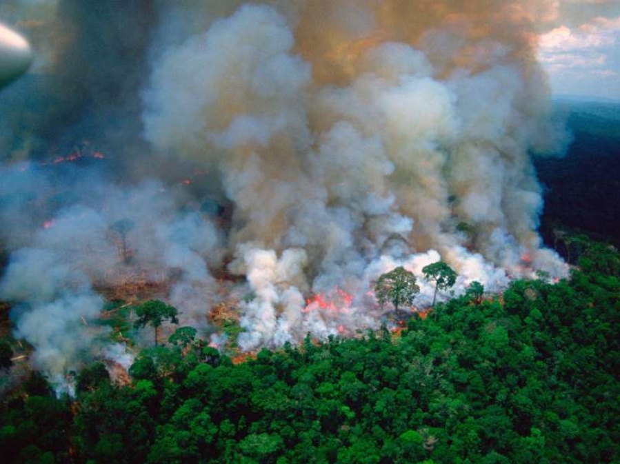 El humo del Amazonas ¿llegará a Buenos Aires?