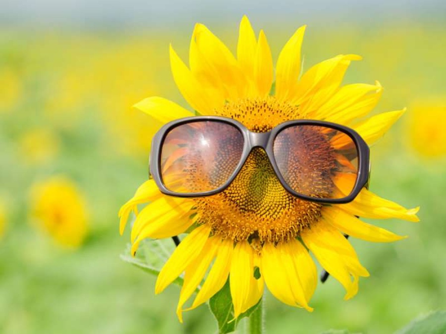 Estos son los cambios psicológicos que provoca la llegada de la primavera