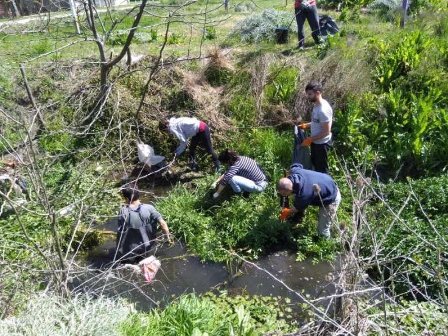 Recolectaron 250 kilos de basura en el Arroyo Pérez y hallaron hasta una aspiradora 