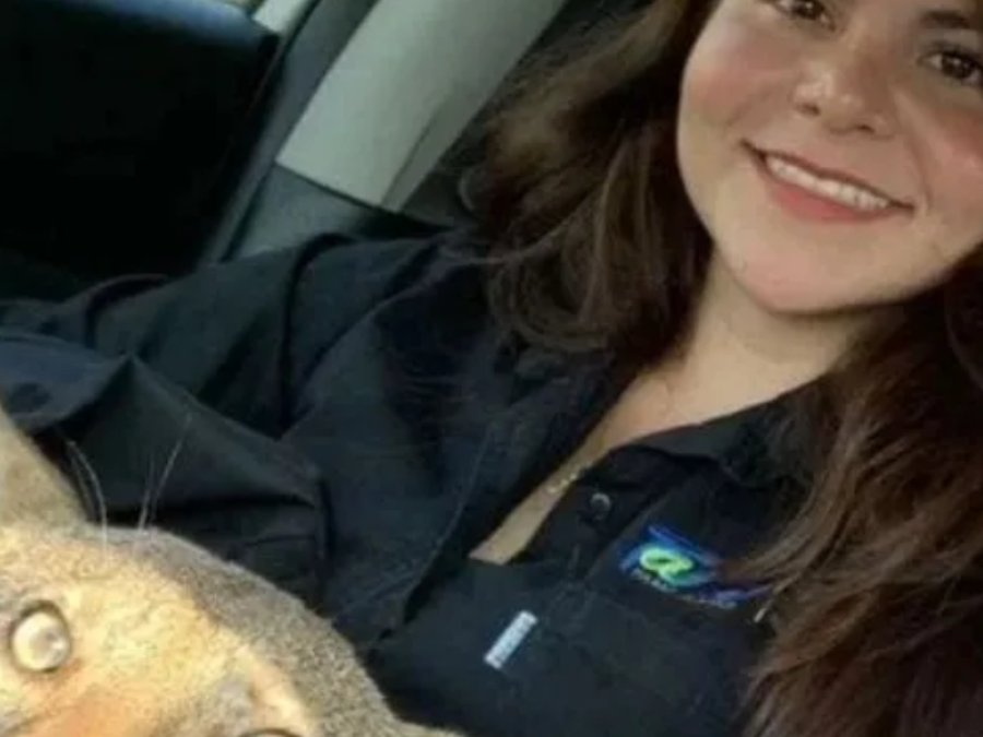 Creyó haber rescatado un perro herido pero era un animal peligroso