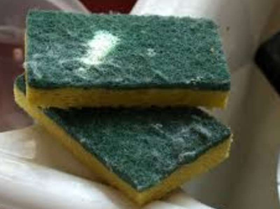 ¿Cada cuánto hay que cambiar la esponja de la cocina?