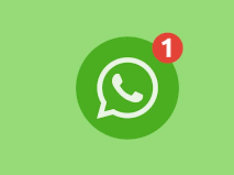 ¿Querés silenciar a un integrante de un grupo de WhatsApp?