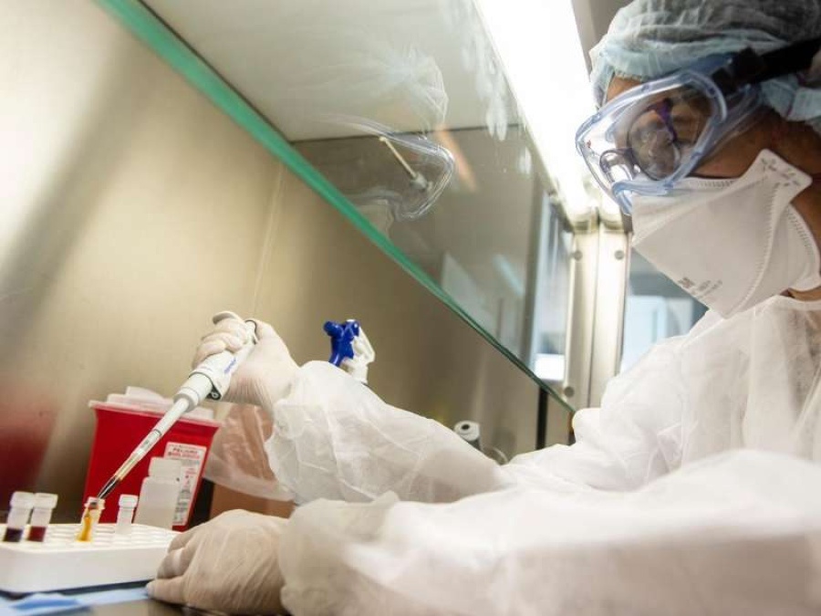 Coronavirus: desde el Malbrán aseguraron que están ”contribuyendo a un futuro desarrollo de la vacuna”