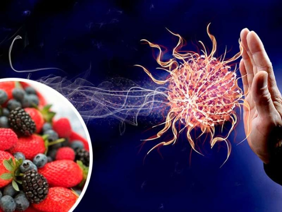 ¿Qué alimentos y bebidas suben nuestras defensas?