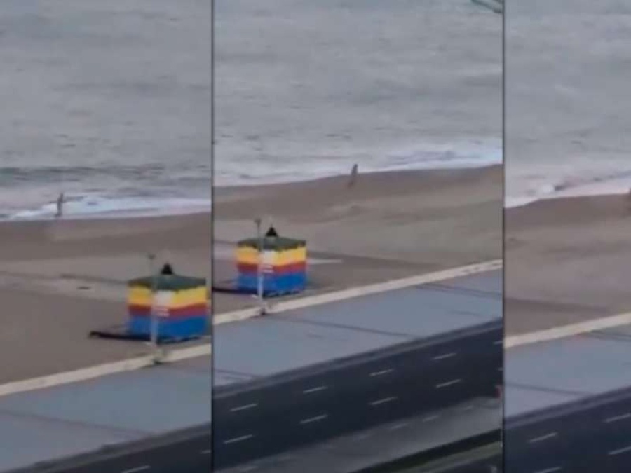 Mar del Plata: se metió al mar desnudo y rompió la cuarentena
