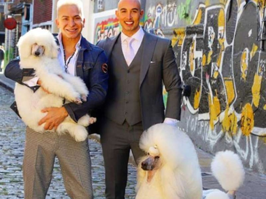 La foto del cambio de look de los perros de Flavio Mendoza que generó polémica