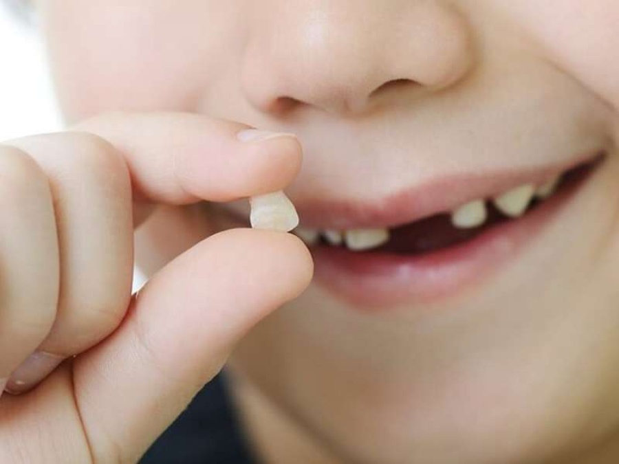 Según un estudio, guardar los dientes de leche de tu hijo podría salvarle la vida