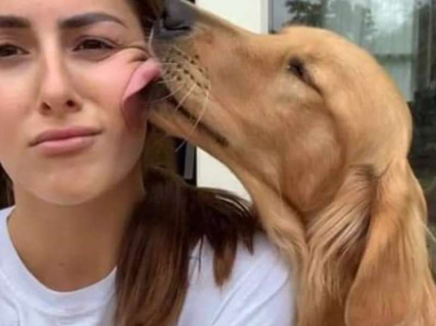 Su perro le lamió la cara... ¡y es viral! 