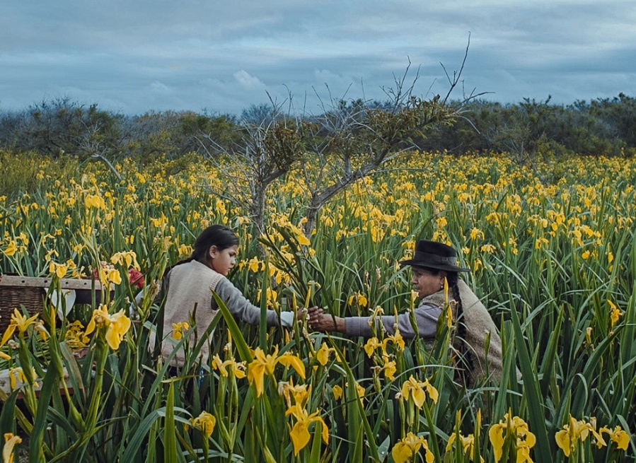 Un cortometraje platense fue preseleccionado para los premios Oscar 2021