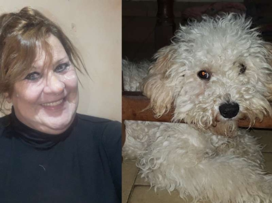 Desesperación en Berisso: se le perdió el perro, cobra una pensión por discapacidad y ofrece recompensa