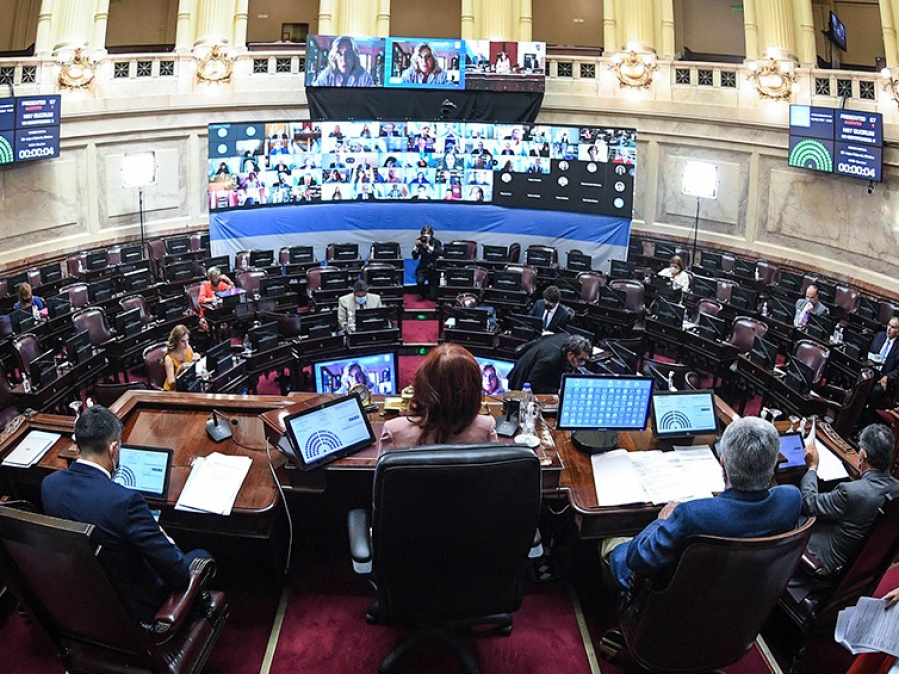 El Senado aprobó reformar la ley de Defensa de la Competencia