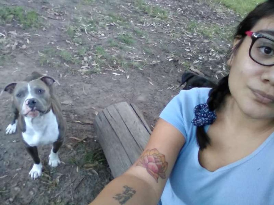 Robaron un perro con epilepsia en City Bell y los vecinos estallaron: ”A las perras las hace parir hasta reventar”