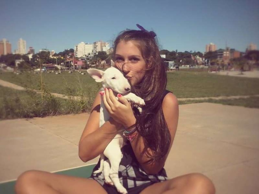 Atropellaron y mataron a una perra en la Autopista Buenos Aires - La Plata: ”Le toqué bocina y no frenó; nunca viví algo así”