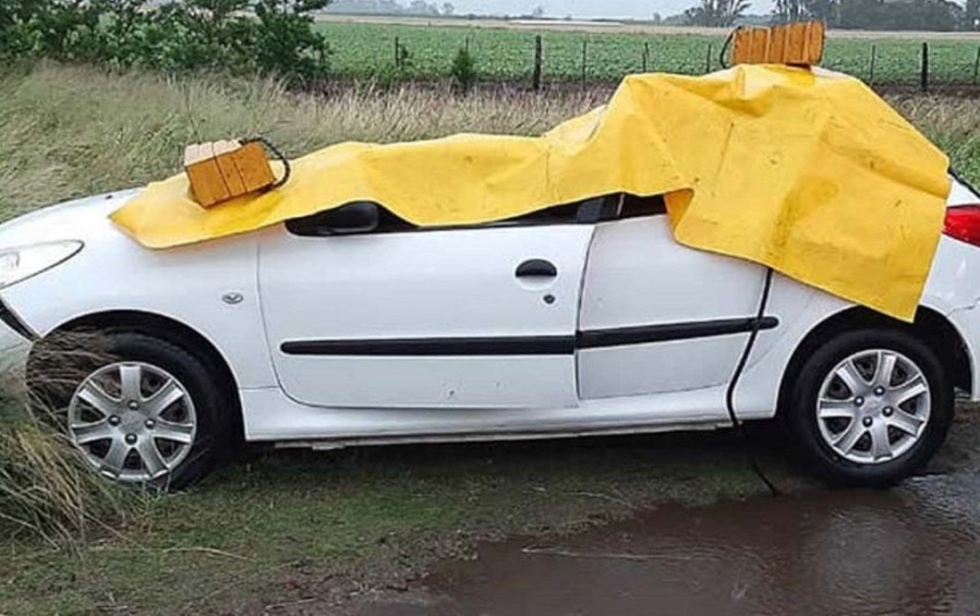 Un árbol cayó sobre un auto y mató a una nena de 12 años en Daireaux