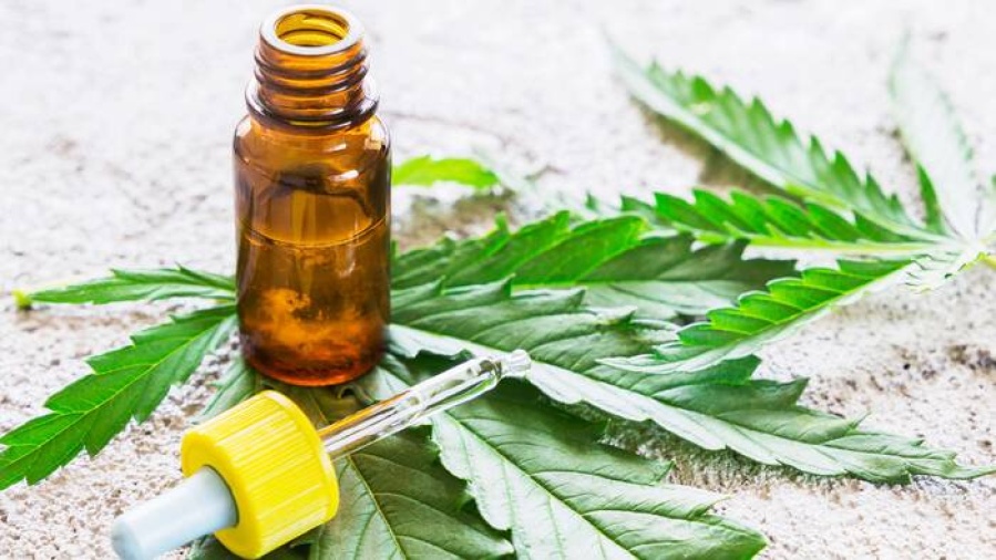 Mendoza, la primera provincia argentina en reglamentar el cultivo de cannabis para uso medicinal