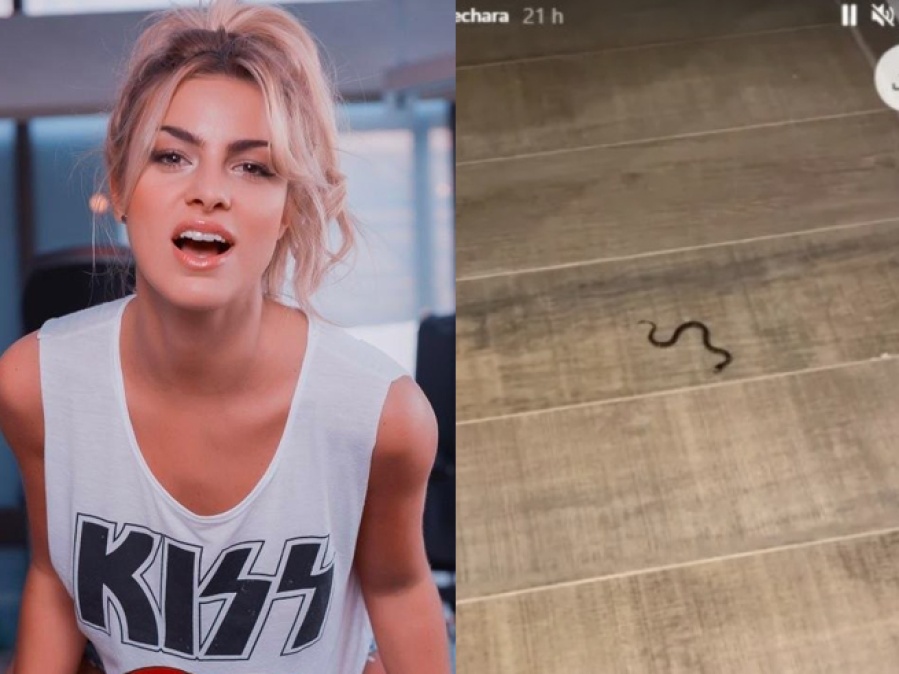 El susto de Ailén Bechara al encontrarse una serpiente en su cama