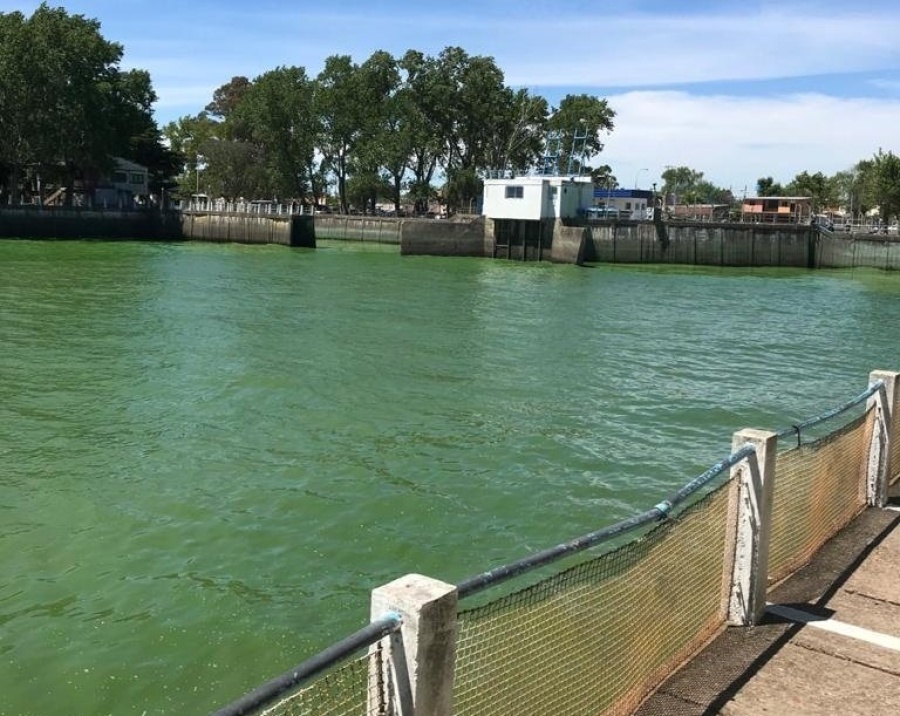 Por las algas en Punta Lara, habrá baja presión de agua en La Plata, Berisso y Ensenada: ”Es una medida preventiva”