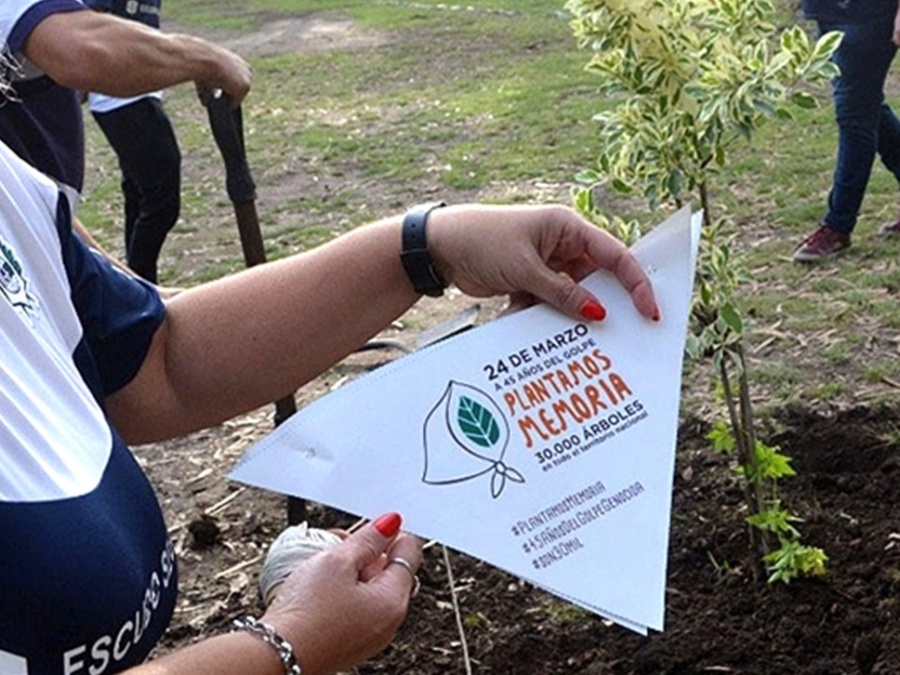 Qué tipo de árboles se plantarán en La Plata y la región por el 24 de marzo
