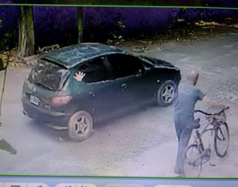 Vio su celular, atropelló a una perrita en La Plata, prometió ayudar y se borró: ”Es increíble la caradurez de la gente”