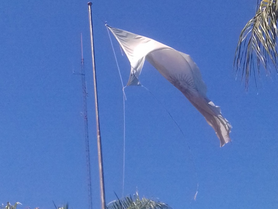 Indignación en Los Hornos por el estado deplorable de una bandera argentina: ”Es un símbolo de toda nuestra historia”