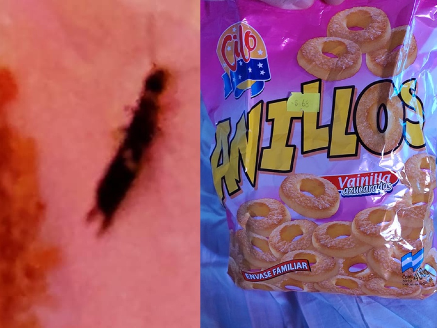 Una familia platense compró un paquete de galletitas y le vino con un insecto: ”Hice la denuncia y la empresa no contesta”