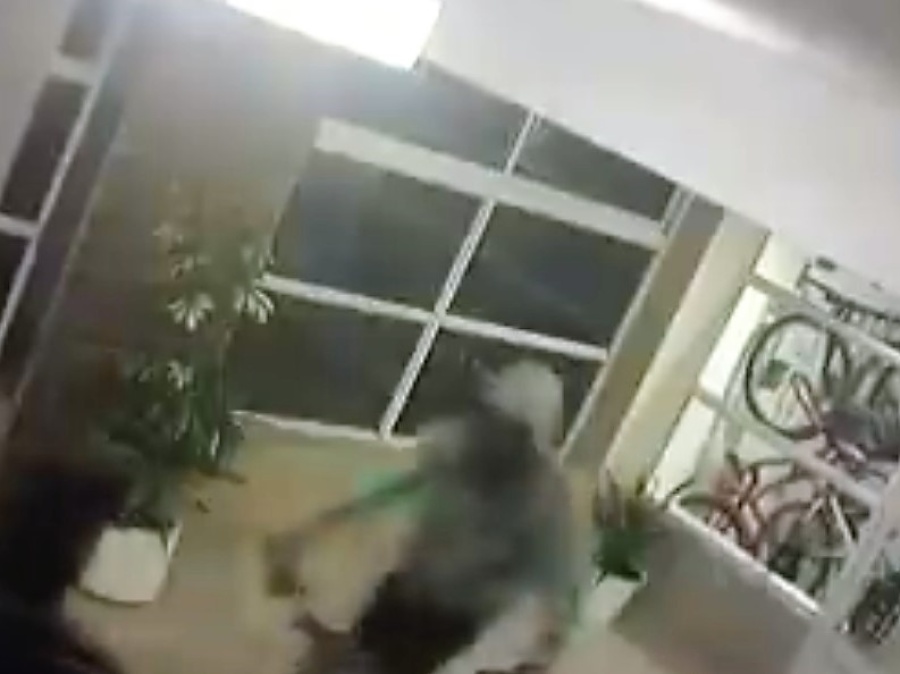 La Plata: Temen por ladrones de bicicletas en el barrio El Mondongo