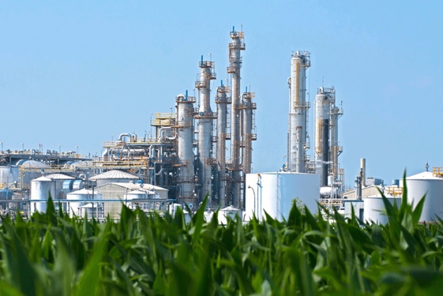 Esta semana se aprobaría en Diputados el nuevo régimen de biocombustibles