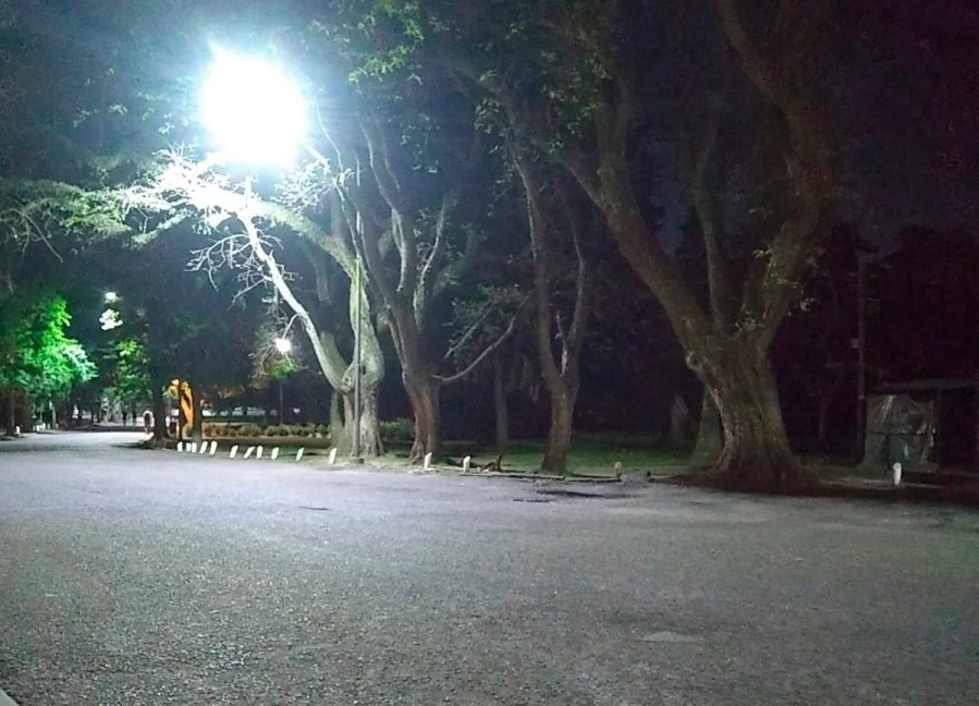 El bosque platense, pulmón donde los espíritus quieren ”liberarse” y pueden llevar energía negativa a toda La Plata