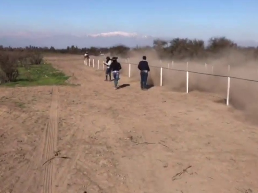 Mató en una carrera de caballos ilegal de Los Hornos y los policías se hicieron pasar por familiares para atraparlo