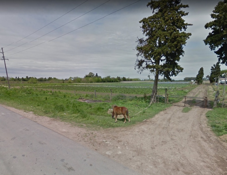 Asesinaron a un hombre durante un carrera de caballos ilegal en Los Hornos