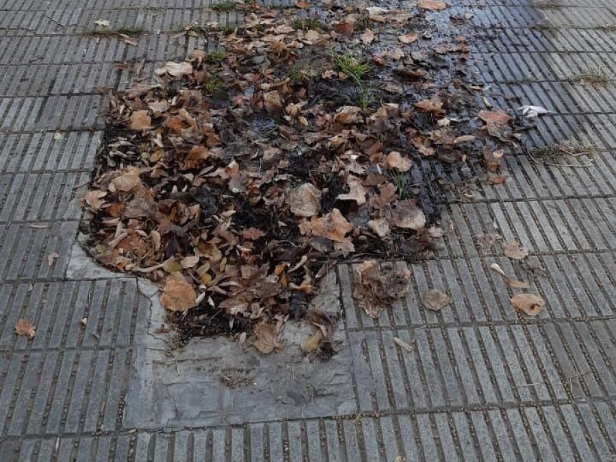 Reclaman por un caño roto hace 9 meses en el centro de La Plata que deja sin presión a los vecinos