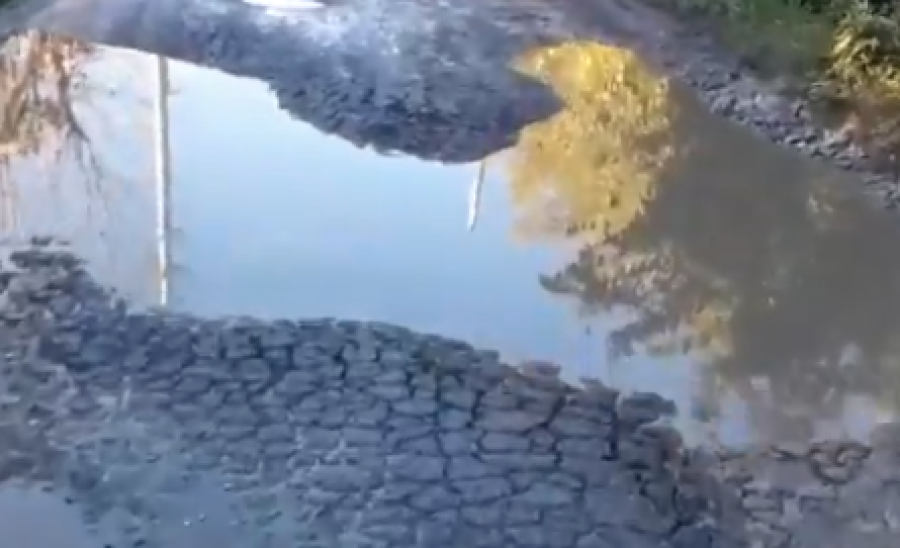 ”Señor intendente, ¿qué le parece hacer una fecha del rally en la 137?”: la molestia de un vecino con el municipio