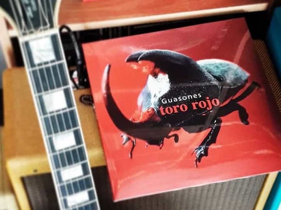 La banda platense Guasones hizo su primera publicación artística en pandemia: ”La gente está manija”