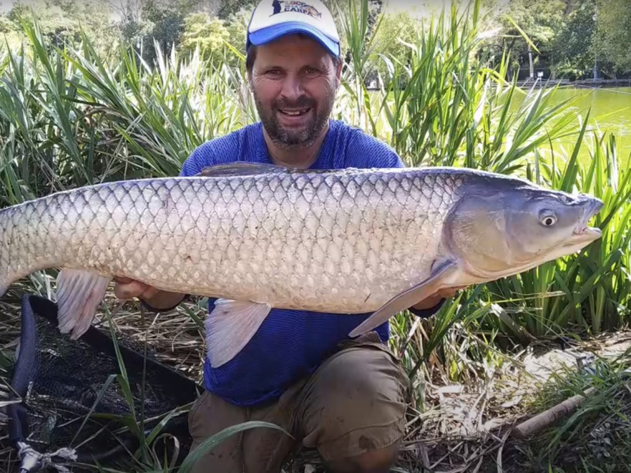 El platense que había sacado un pez gigante en El Bosque volvió a pescar otro 'monstruo': ”Que pedazo de bestia”