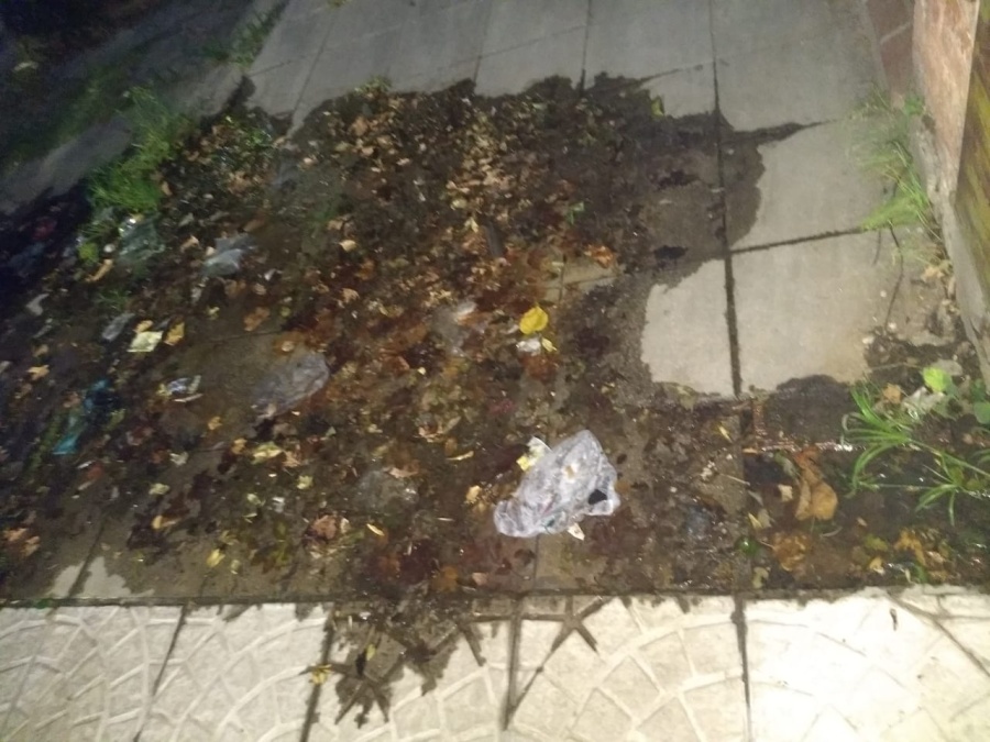 Una mujer de 84 años de La Plata vive sola y desde hace un mes no tiene agua por la rotura de un caño: “Está en crisis”