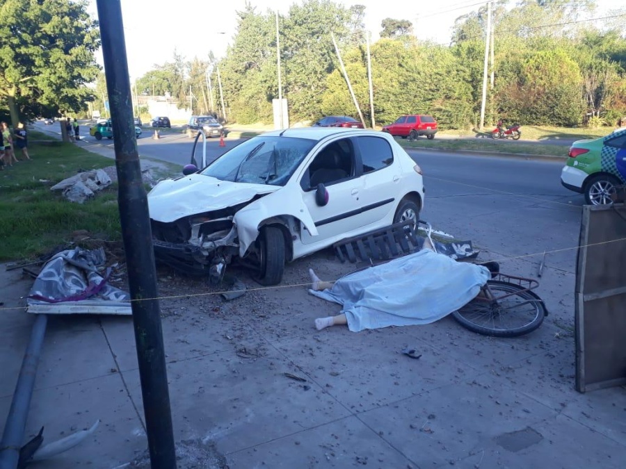 Una joven de 24 años murió en La Plata, tras ser atropellada mientras paseaba a su perro