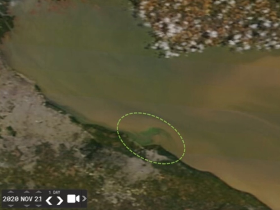 Así se fue moviendo la ”mancha verde” de cianobacterias hasta llegar a Punta Lara: cómo seguirá su rumbo