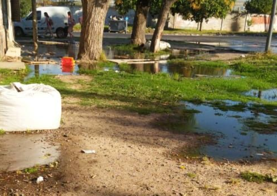 Vecinos de Los Hornos “no pueden respirar” por un gran desborde cloacal